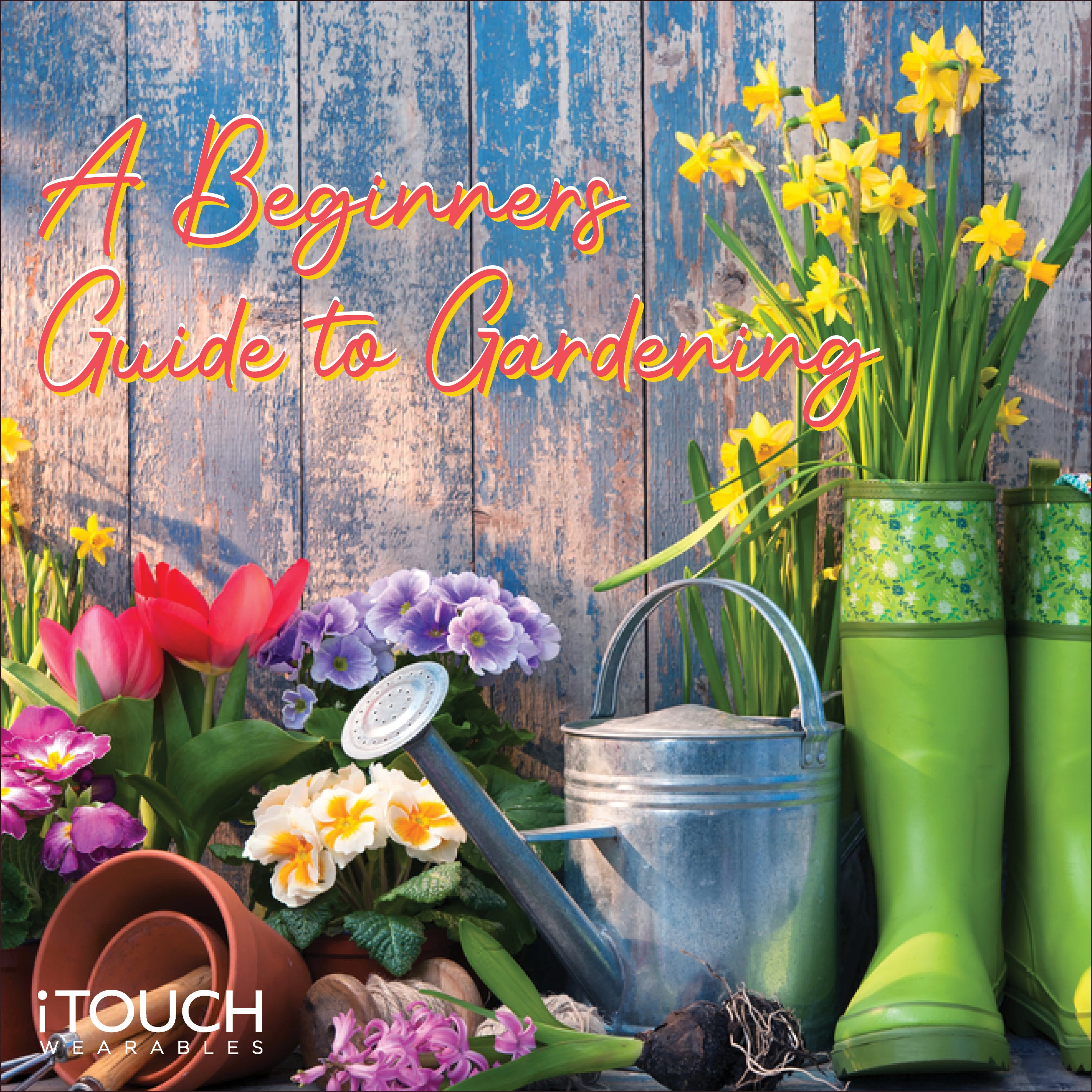 A Beginners Guide To Gardening